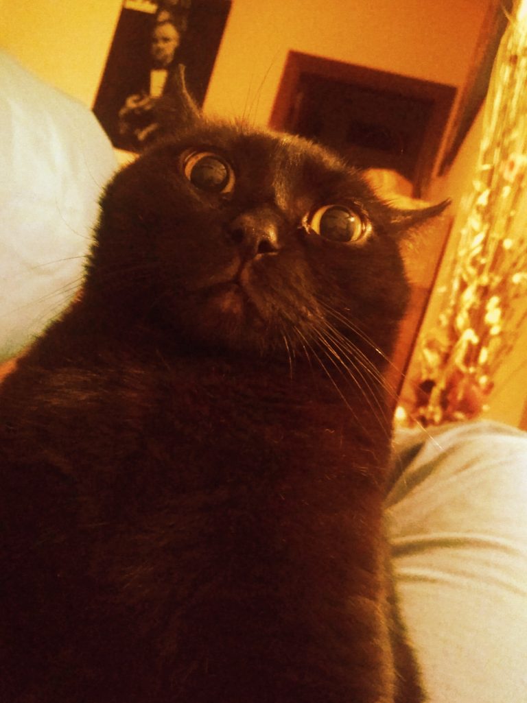 La Quinta Calumnia de Elite Taxi – A los monstruos no mirar